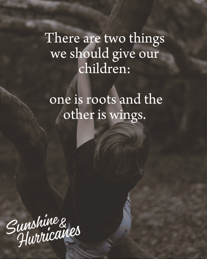 quote about roots and wings