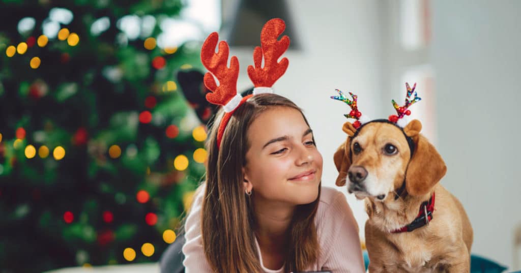 Littlest Pet Shop: Advent calendar: All doors 